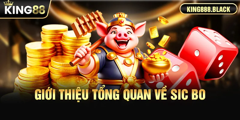 Giới thiệu tổng quan về Sic Bo KING88