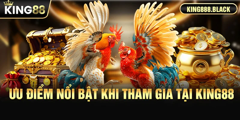 Ưu điểm nổi bật khi tham gia đá gà Thomo