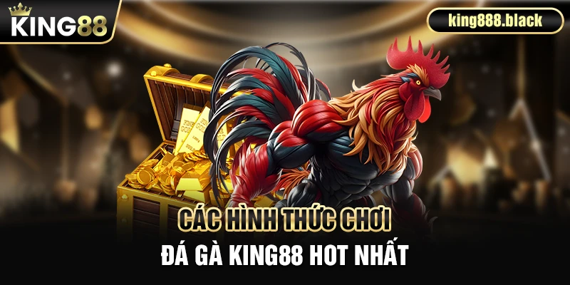Các hình thức chơi đá gà phổ biến