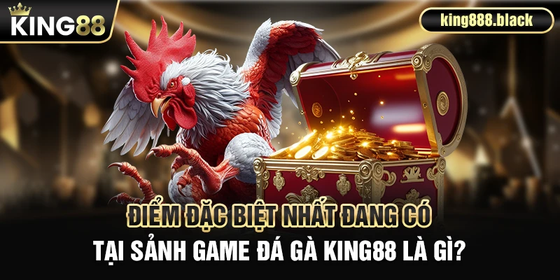 Điểm đặc biệt tại sảnh đá gà KING88
