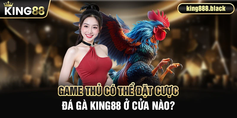 Game thủ KING88 có thể đặt cược đá gà ở cửa nào