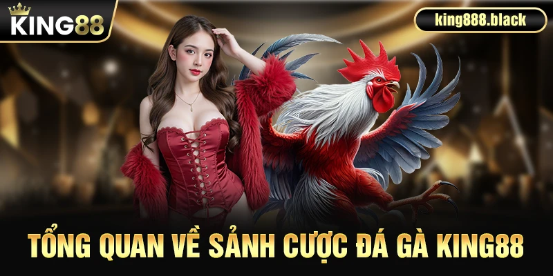 Tổng quan về sảnh cược đá gà KING88