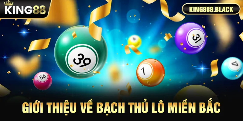 Giới thiệu về Bạch thủ lô miền Bắc
